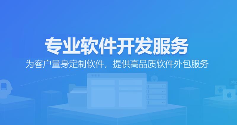 解读现代企业不可或缺的软件开发力量