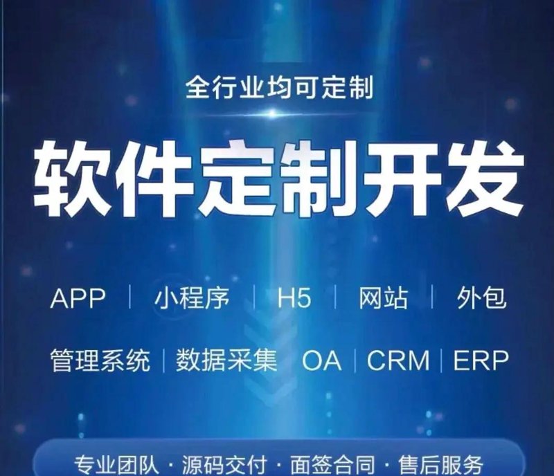 解读现代企业不可或缺的软件开发力量